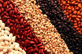 Venezuela supera a México en producción de granos 🌾