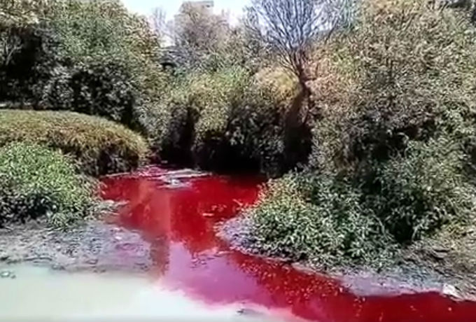 Río Rabanillo: Un río de colores… y contaminación 🌊💀