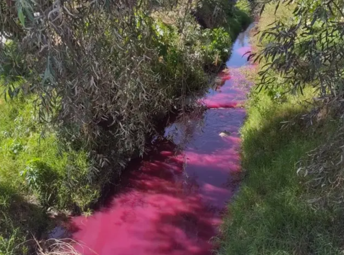 Contaminación del Río Acotzalan: Empresas Textiles en la Mira por Vertidos Irregulares