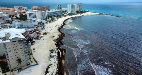 La Revolución Costera de la 4T: ¿Libertad o Caos? La Ley que Pone Fin a la «Privatización Silenciosa» de las Playas