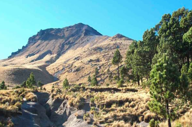 Ecoparque Malinche queda fuera del presupuesto 2026 pese a inversión millonaria