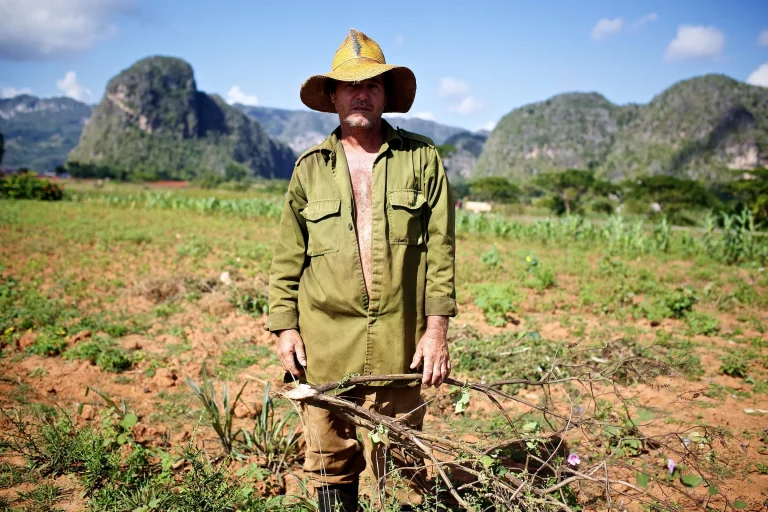 Cuba enfrenta escasez de alimentos mientras productores luchan por sostener cultivos